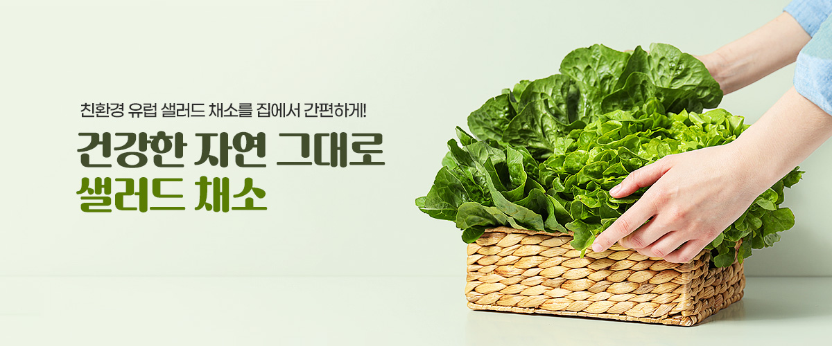 샐러드채소